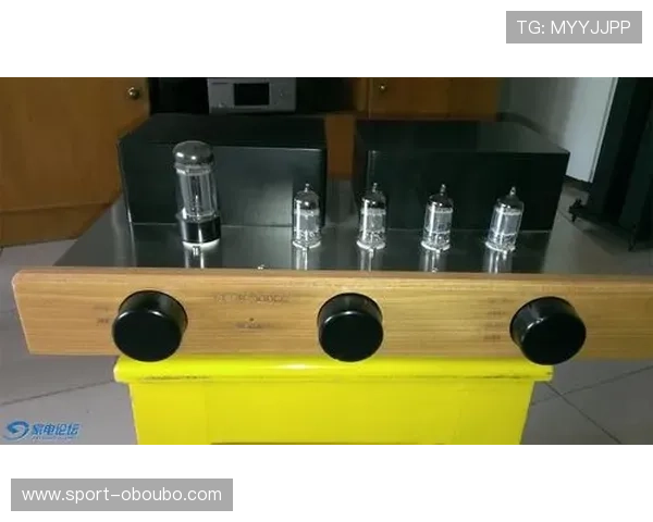 欧博222胆前级的性能全面解析，带你深入了解这款高端音频设备的核心优势