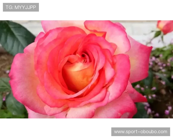 欧博游戏端口在哪官方入口更新及登录安全注意事项