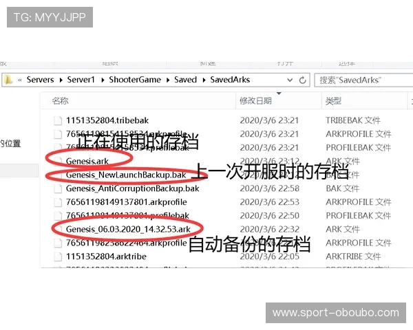 欧博网站开户优惠券领取流程详解及常见问题解决方案