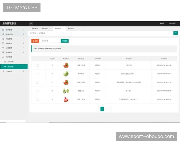 欧博app登录入口网址官方最新版本,确保账号安全快速登录指南 欧博app登录入口网址官方最新版本,确保账号安全快速登录指南